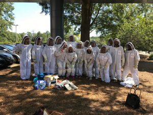 group bee hive tour