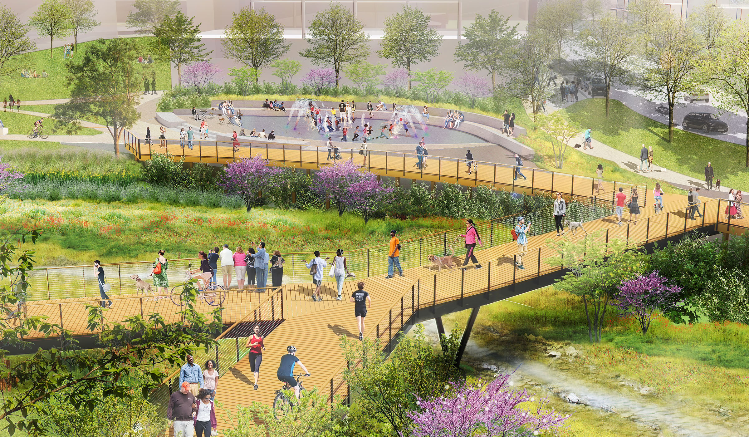 Rendering of Hub RTP with raised walking and bike paths, lots of greenery and people, and a fountain.