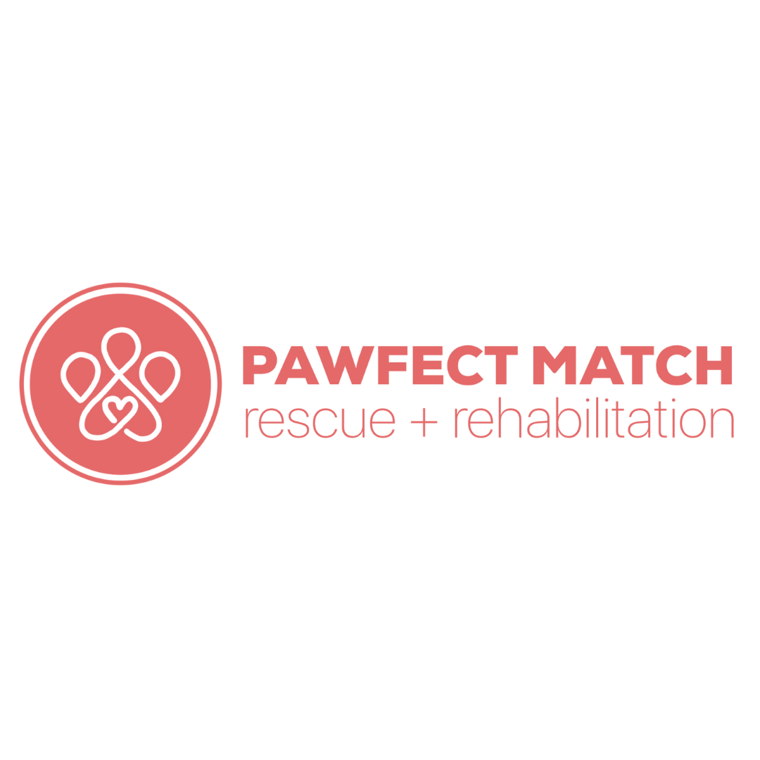 pawfect match
