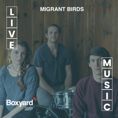 migrant birds